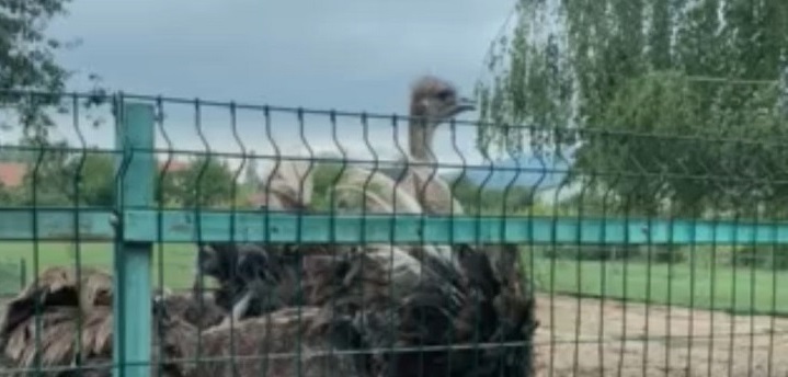 Пацієнти бувають різні